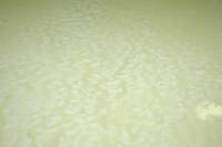 Fabrication du fromage - Caillé et petit lait résiduel après tranchage